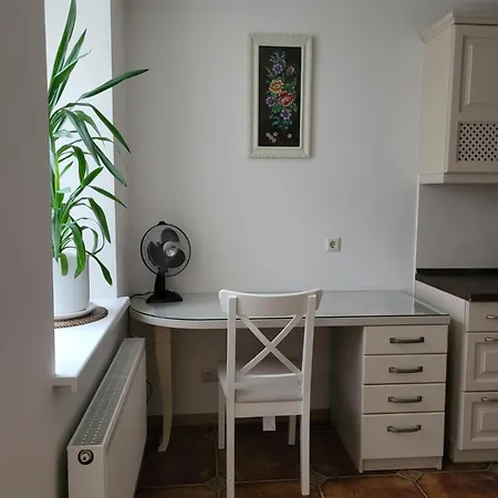 Maironio 21a - Center - Free Parking كاوناس