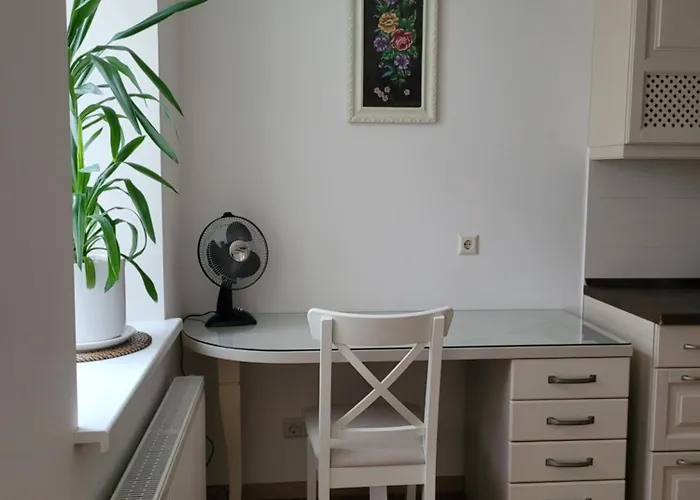 Maironio 21a - Center - Free Parking Kaunas